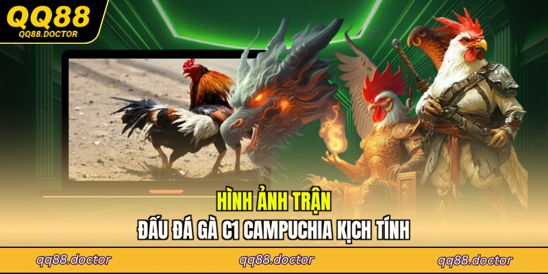 Hình ảnh trận đấu đá gà c1 campuchia kịch tính