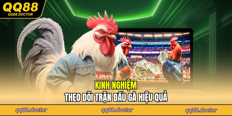 Kinh nghiệm theo dõi trận đấu gà hiệu quả