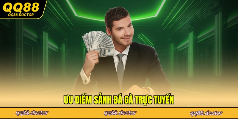 Ưu điểm sảnh đá gà trực tuyến